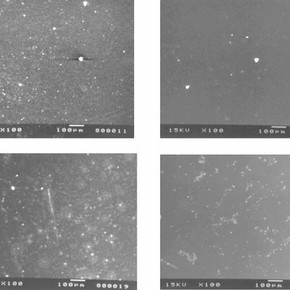 Figure 2. Surface of bone china sample after treatment with 5% by weight Laponitr RD gel