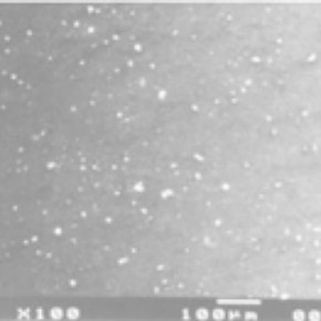Figure 3. Surface of earthenware sample after treatment with two coats of 5% by weight Laponite RD gel
