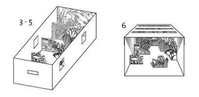 37275-large.jpg
