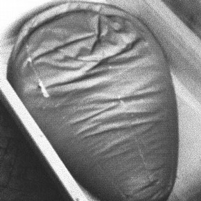 Figure 3. Sacco in its 'plastic coffin' at Blythe Road Store. Photography by Roger Griffith