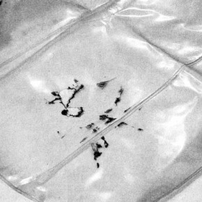 Figure 5. Blow (detail). Unfolded seat cushion as found in storage with creases and ink offset onto PVC. Photography by Roger Griffith