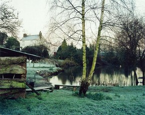 Jem Southam, 'The Pond at Upton Pyne, February 2001', © Jem Southam.