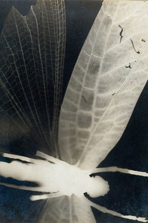 Curtis Moffat, 'Abstract Composition', about 1925. Museum no. E.880-2003