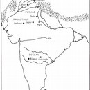 40420-large.jpg