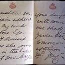 4302-large.jpg