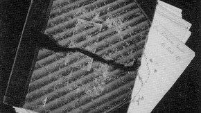 Fig. 3. Unbound leaves, loose in cover