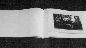 Fig. 7. Photograph of 'Major General Estcourt', after conservation in a fascicule
