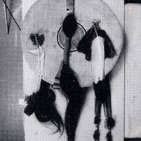 Fig. 3. Example of a shield mounted for storage