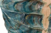 Costume for an attendant on the Queen of the Waters in Frederick Ashton’s ballet 'Homage to the Queen,' London, 1953. Museum no. S.648 - 1981 