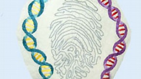 Figure 2: Embroidered and appliquéd hexagon, 2008. Image courtesy of Fine Cell Work, London. 