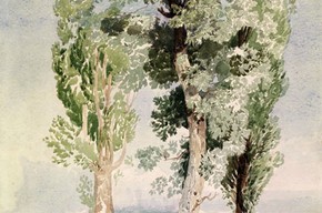 John Sell Cotman, 'A Study of Trees'. Museum no. P.34-1921