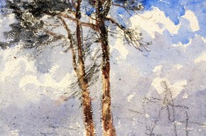 David Cox Senior, 'Scotch Firs'. Museum no. P.9-1922