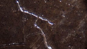Photomicrograph of 'Twilight' - showing the underlying paint protruding through the cracks in the paint surface. Click to enlarge