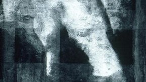 'Twilight': x-radiograph. Click to enlarge