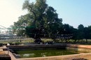 Tank at Lumbini, 2006