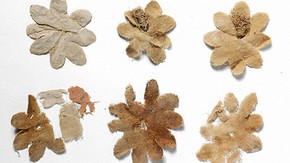 Textile flowers with wooden peg, Miran,300-400 AD. Museum no. Loan:Stein:628