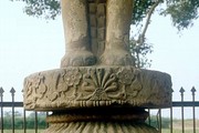 Elephant capital from pillar erected by Ashoka, Sankasya © John Huntington