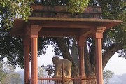 Pillar and capital erected by Ashoka, Sankasya. Photograph courtesy of Firefly Mission, 2007