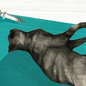 Swava Harasymowicz. Illustration to 'Putting Daisy Down', author Jay McInerney, published in Guardian Weekend Magazine, 2008