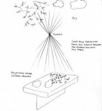 Camera Obscura, Nilu Izadi