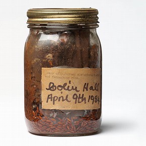 Figure 1. 'Book in a Jar' (NAL Pressmark: X900248) around 1988 (Photography by V