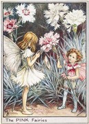 A Fairyland of Flowers, Beatrix Potter and Cicely Mary Baker