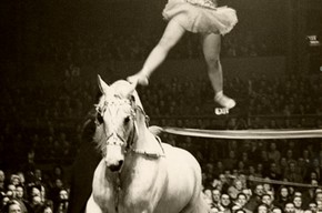 Florence Stephenson, Bertram Mills' Circus, 1948-49 season