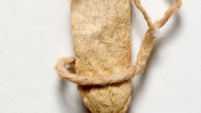 Paper strip, 700–850 AD. Museum no. LOAN:STEIN.248 (M.Tagh.a.0035).