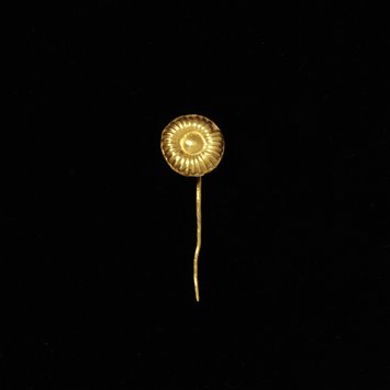 Pin Pin