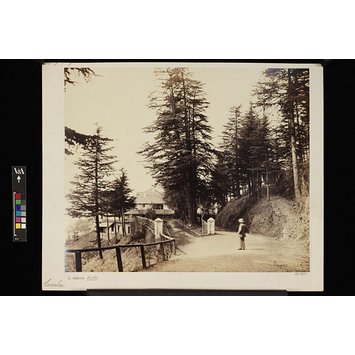 Photograph - Oakover, Simla Photograph - Oakover, Simla