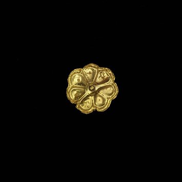 Rosette Rosette