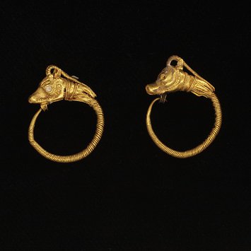 Earrings Earrings
