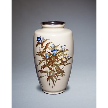 Vase Vase
