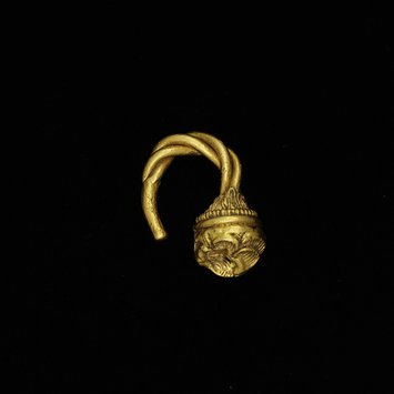 Earring Earring