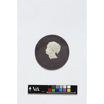 Roundel - Youthful Queen Victoria Roundel - Youthful Queen Victoria