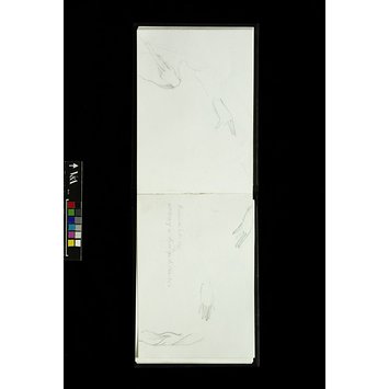 Sketchbook - Sketchbook Sketchbook - Sketchbook