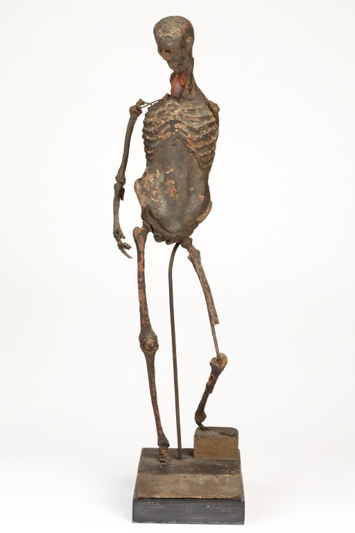 Anatomical figure (Wax model) V&A Search the Collections
