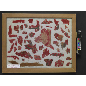 Fragments - The Stein Collection Fragments - The Stein Collection