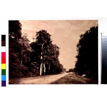 Photograph - The road to Chailly, Forest of Fontainebleu Photograph - The road to Chailly, Forest of Fontainebleu