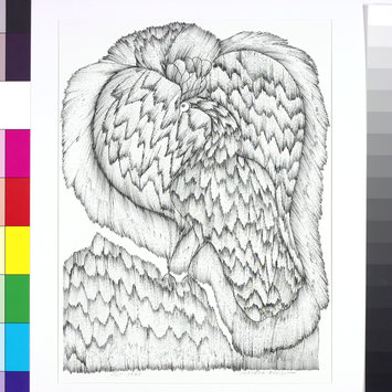 Drawing Drawing