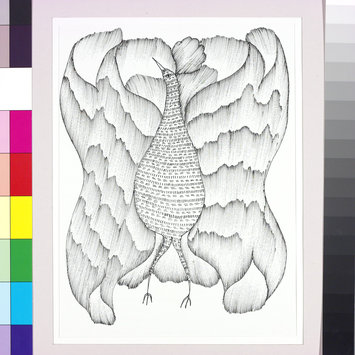 Drawing Drawing