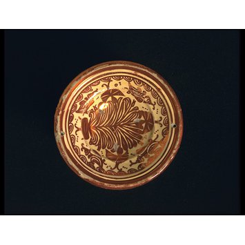 Plate Plate