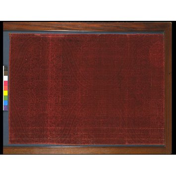 Stamped silk velvet Stamped silk velvet