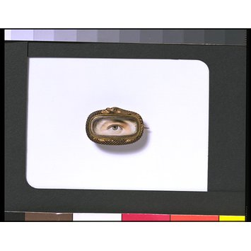 Eye miniature Eye miniature