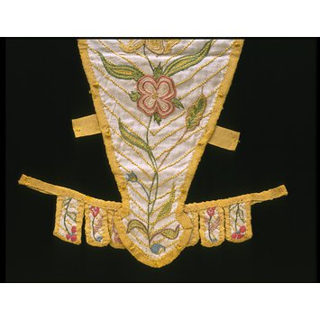 Stomacher Stomacher