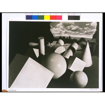 Photograph - Metamorphosis Photograph - Metamorphosis