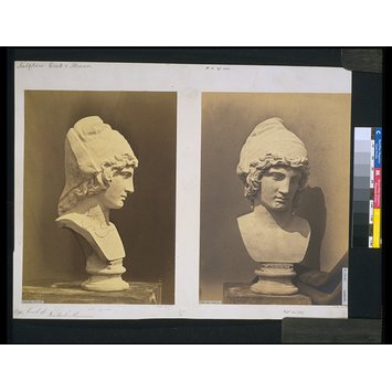 Photograph - View of a bust of Atys Photograph - View of a bust of Atys