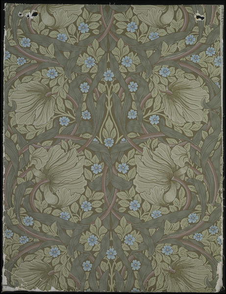 Pimpernel | Morris, William | V&A Explore The Collections