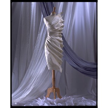 Evening dress - Bird's Wing Evening dress - Bird's Wing