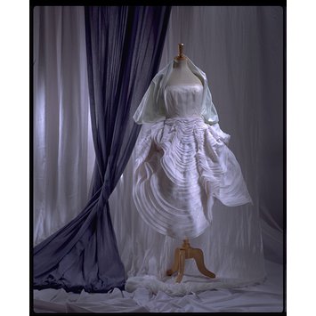 Dress - Seashell Dress - Seashell